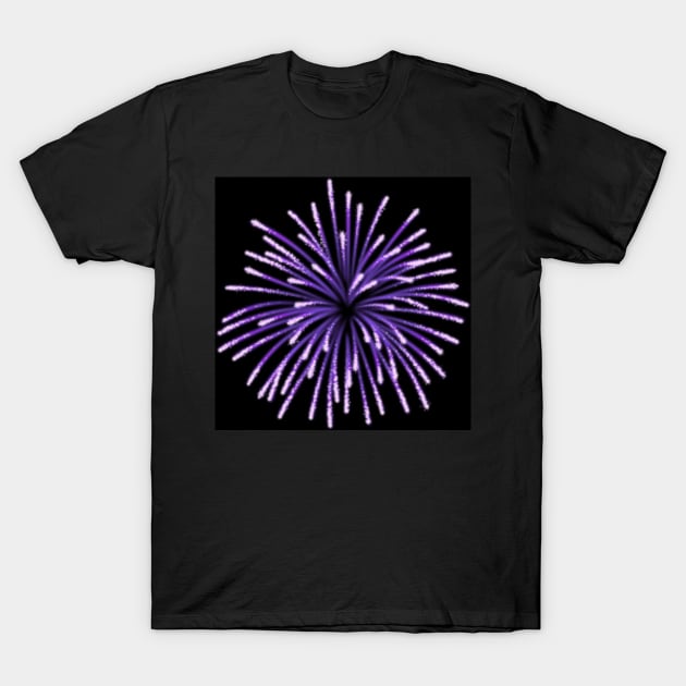 Fireworks T-Shirt by ZoeBaruch